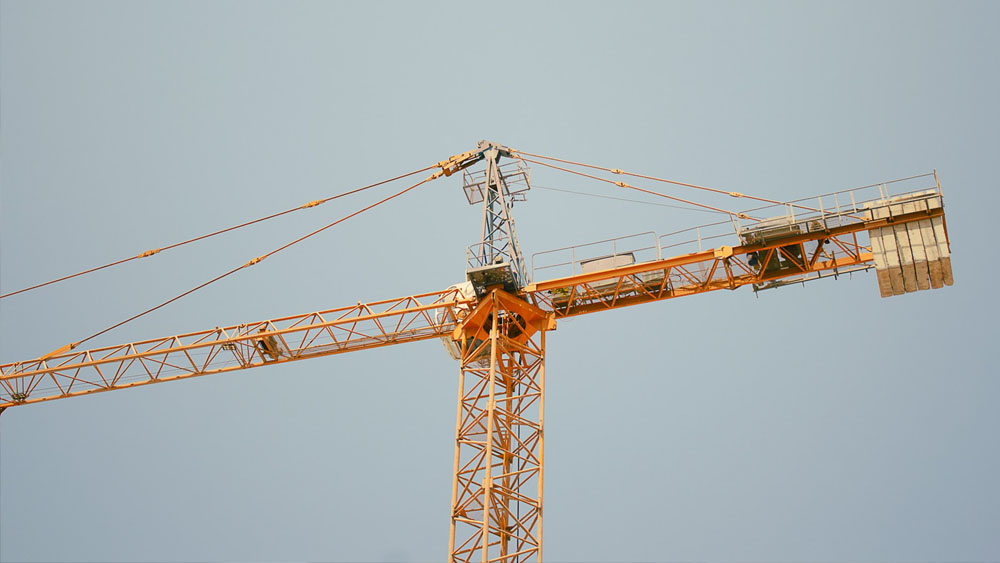 Work with Purpose, Grow with Pride.